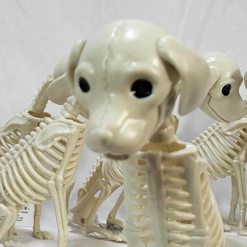 Halloween Puppy Dog Animal Skeleton 7.2